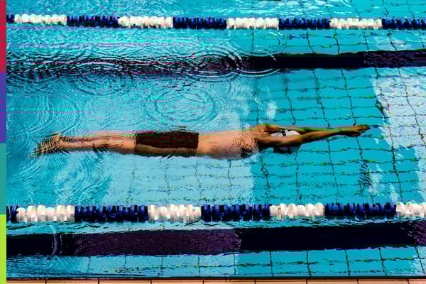 SLOWING MUSCLE PROTEIN BREAKDOWN